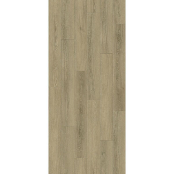 Portland Beech Plank 1.76sqm