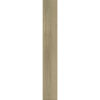 Portland Beech Plank 1.76sqm
