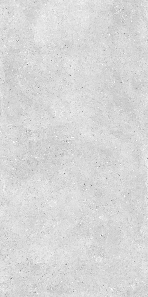 Fossil Stone 400 X 250 X 4