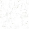 Roman Marble Roman Marble 400 X 250 X 4