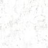 Roman-Marble-Swatch Roman Marble 400 X 250 X 4