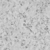 Carrara Marble Carrara Marble 2420 x 900 PLY CC P1