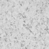 Carrara-Marble-Swatch Carrara Marble 2420 x 900 PLY CC P1