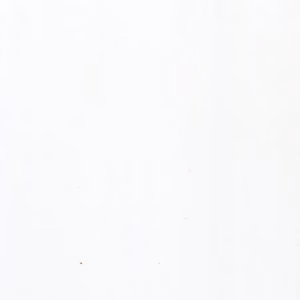 RM2040P_01 WALL PANEL 5mm x 250mm x 4m (WHITE GLOSS) (PACK 4)