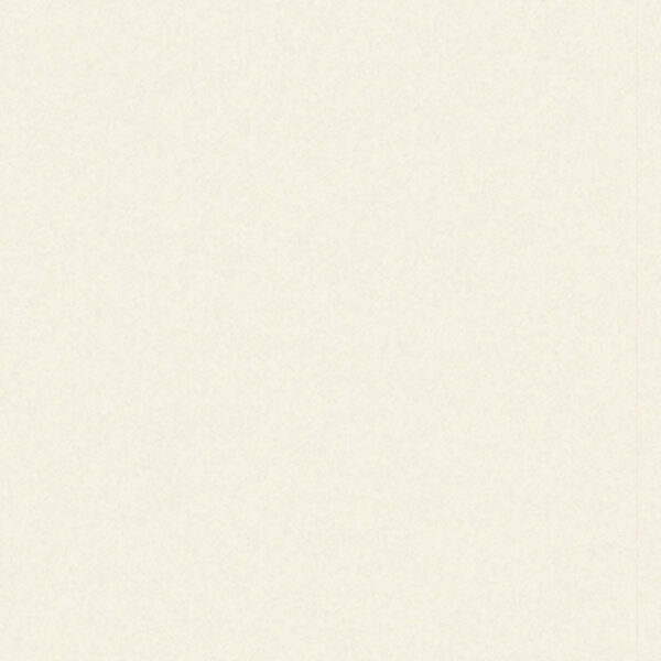 White Frost White Frost 2420 x 585 PLY TG P1